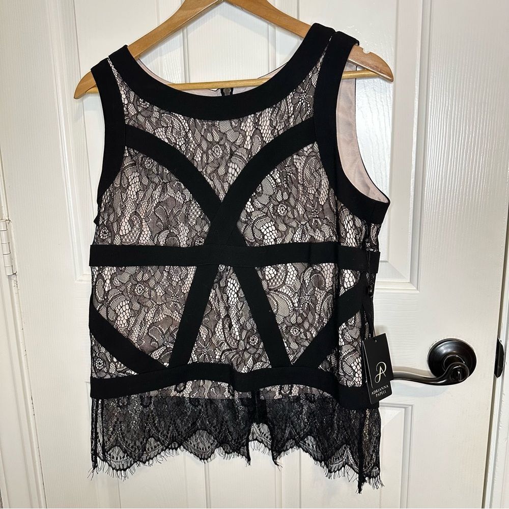 BNWT Adrianna Papell Black Creme Tan Lace Sleeves Top Sz 12 Office Business Chic
